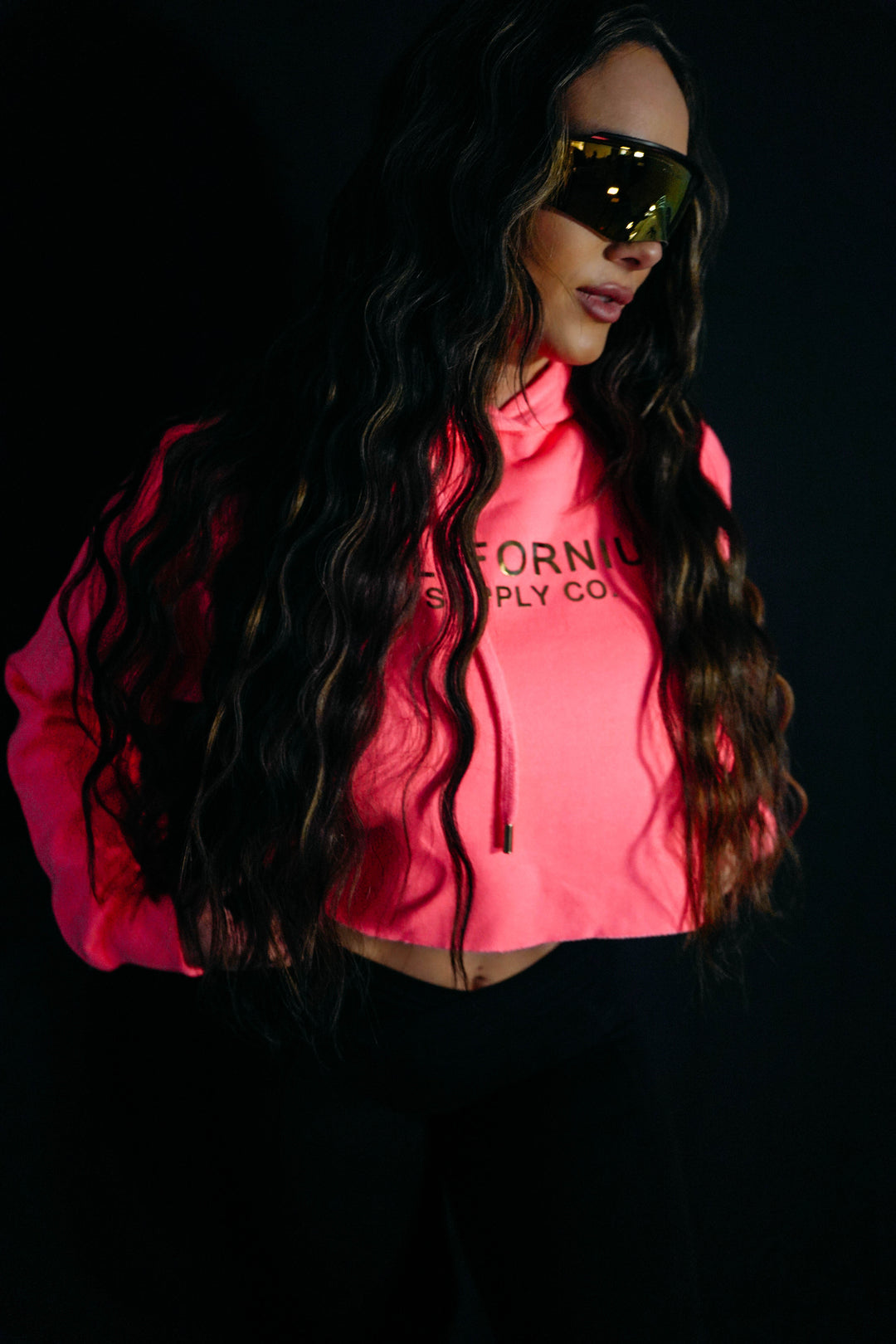 Iconic Crop Hoodie